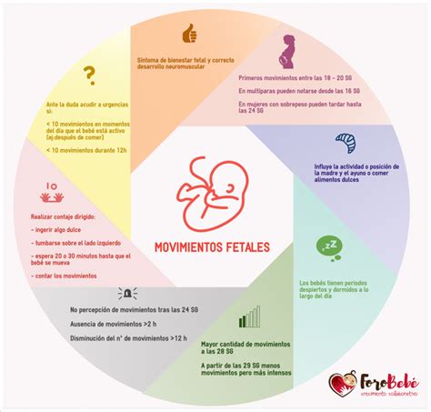 Infografía: cómo contar los movimientos fetales