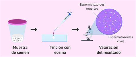 Espermatozoides con tinción de Eosina-Nigrosina