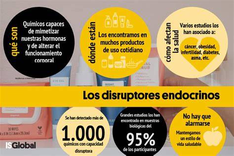 Infografía sobre los efectos de los disruptores endocrinos en el cuerpo