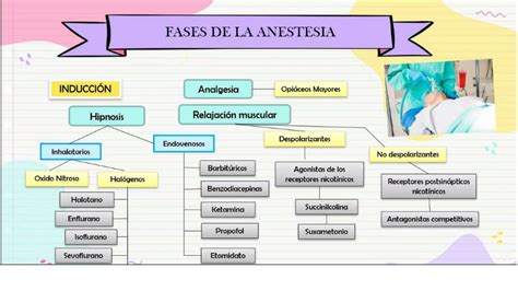 Esquema de las fases de la anestesia general pediátrica