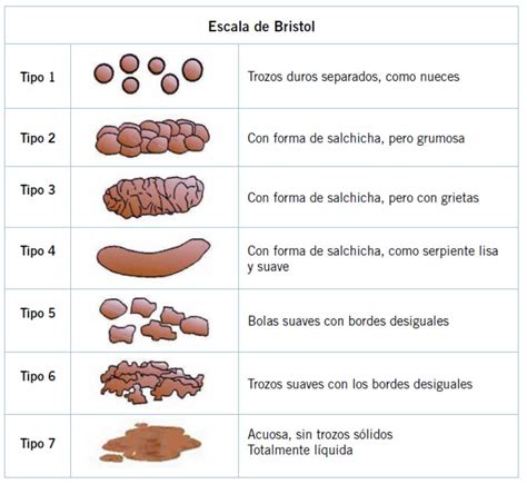 Gráfico que muestra la evolución del color y consistencia de las heces del recién nacido desde el meconio hasta las deposiciones de lactancia.