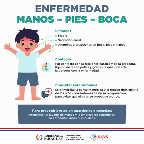 Infografía explicando las razones por las que las manos y pies de los bebés son fríos.