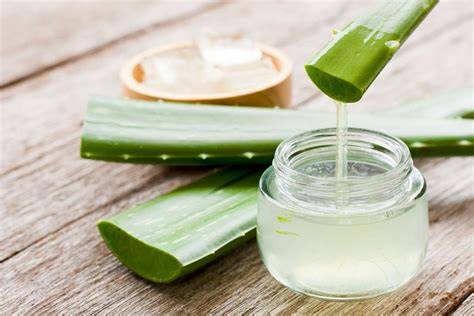 Imagen de una planta de aloe vera y gel de aloe vera fresco
