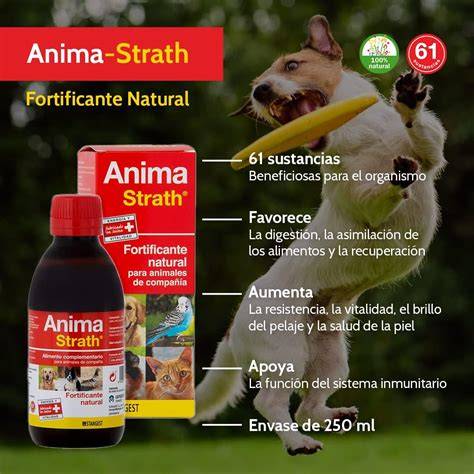 Infografía sobre la composición de Anima Strath (levadura plasmolisada)
