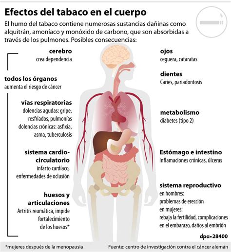 Esquema de los daños que el tabaco provoca en el sistema reproductivo masculino y femenino