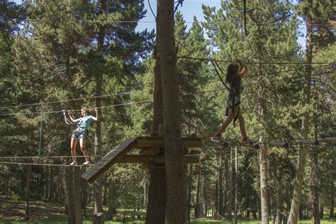 Niños disfrutando en un parque de aventuras en los árboles, con tirolinas y puentes colgantes.