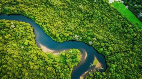 vista aérea de San Medel con zonas verdes y el río