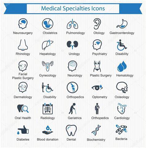 Infografía con iconos representando las especialidades médicas para la mujer: densitometría, ecografía, endocrinología, patología mamaria, mamografía.