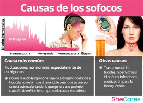 Infografía detallando las zonas del cuerpo afectadas por los sofocos durante el embarazo.