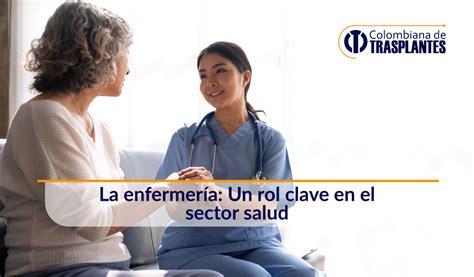 Esquema del rol del navegador de salud en la atención a personas sin hogar.