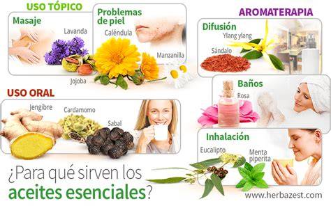 Infografía: Usos culinarios y dietéticos de los aceites esenciales Young Living Plus