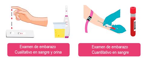 Tabla comparativa entre pruebas de embarazo en orina y en sangre