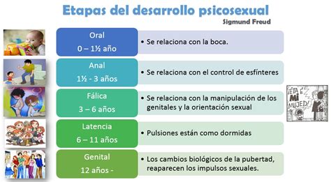 Esquema de las fases del desarrollo psicosexual infantil