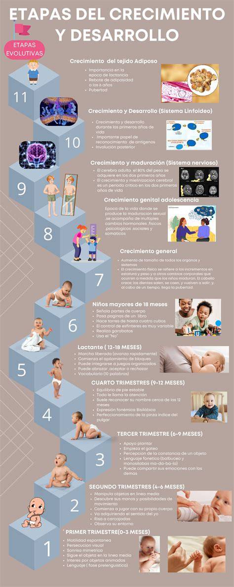 infografía sobre el crecimiento y desarrollo infantil