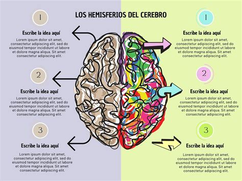 esquema anatómico del cerebro infantil mostrando las posibles consecuencias de un zarandeo