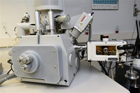 Microscopía electrónica de barrido mostrando el nódulo de Hensen y la línea primitiva, y un embrión seccionado ilustrando la constitución de las capas embrionarias