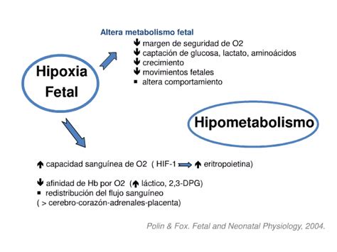 Esquema de las causas y consecuencias de la hipoxia fetal