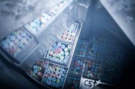Depósito de óvulos congelados en el laboratorio (foto temática)