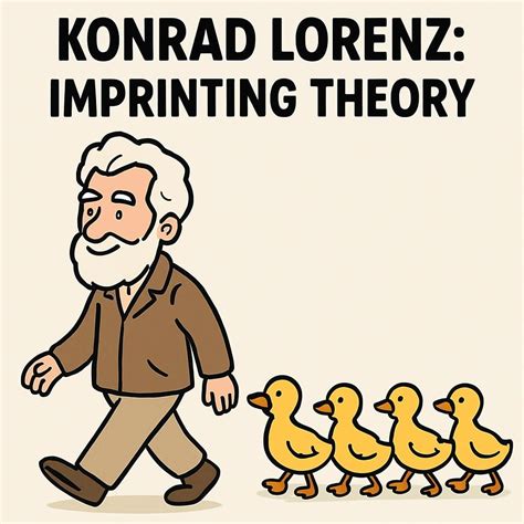 Ilustración del concepto Kinderschema de Konrad Lorenz
