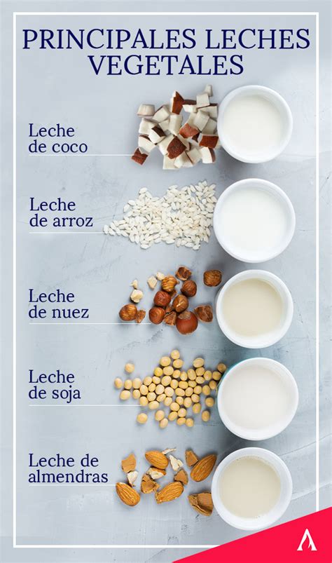 Variedad de leches vegetales caseras con ingredientes frescos