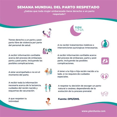 Esquema visual sobre el programa de Parto Respetado y sus pilares