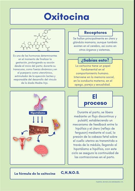 Infografía sobre la acción de la oxitocina en el útero postparto