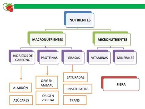 Diagrama comparativo de macronutrientes y micronutrientes esenciales para plantas