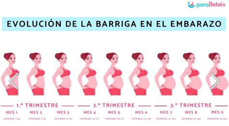 Infografía que muestra los cambios en el abdomen de una mujer embarazada a medida que avanza la gestación, con énfasis en la zona del ombligo.
