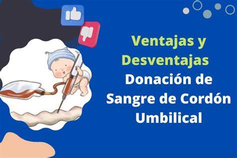 Gráfico: Flujo de la donación de sangre de cordón umbilical a un banco público