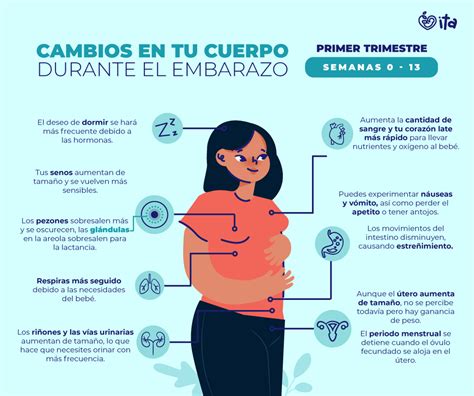Ilustración mostrando los cambios físicos en la madre en el tercer trimestre del embarazo, incluyendo el aumento del abdomen y la hinchazón de pies.