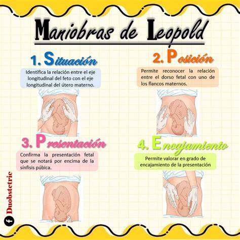 Imágenes secuenciales de las maniobras de estimulación vesical para la recogida de orina en neonatos.