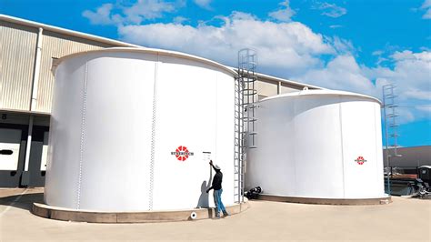 Fotografía del espécimen hallado en las instalaciones de almacenamiento de agua en la comunidad de Santa María Regla.