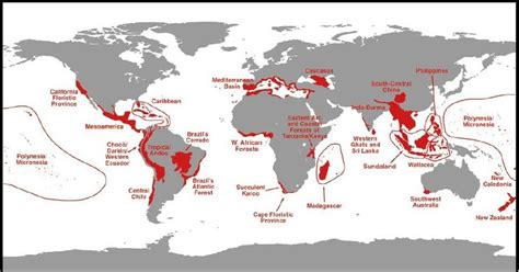 Mapa de puntos calientes de biodiversidad global