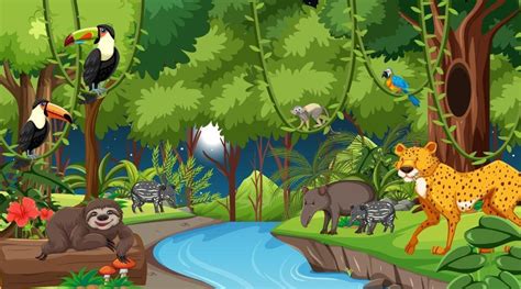 ilustración de la selva con elementos de diferentes tamaños para comparar medidas