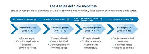 Esquema visual del ciclo perinatal y sus fases, resaltando los puntos de intervención psicológica.