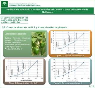 Gráfico mostrando la curva de absorción de nutrientes versus la concentración de sales en la solución del suelo
