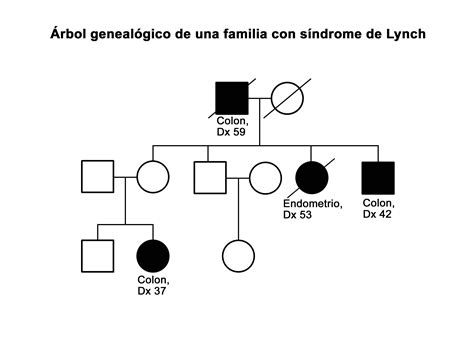 Diagrama simplificado del árbol genealógico mostrando cómo los genes de diferentes tonos de piel pueden transmitirse a través de generaciones.