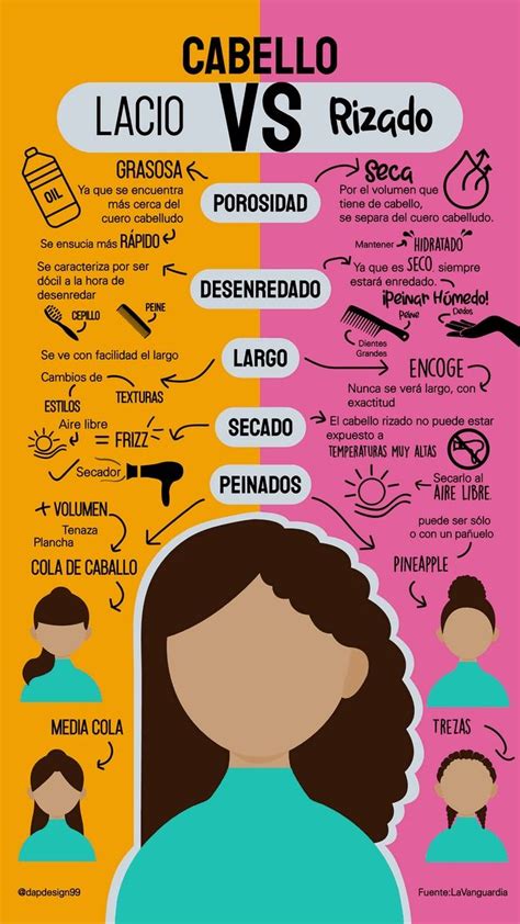 Infografía comparativa de diferentes tipos de calienta biberones
