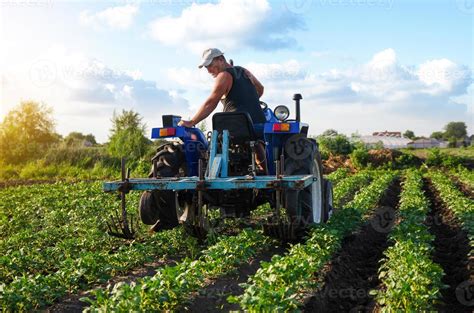 Campo de vid con un agricultor realizando análisis de suelo