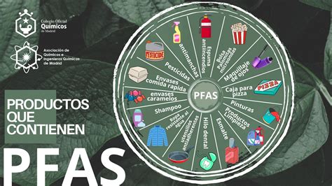 infografía sobre los productos cotidianos que contienen Bisfenol A