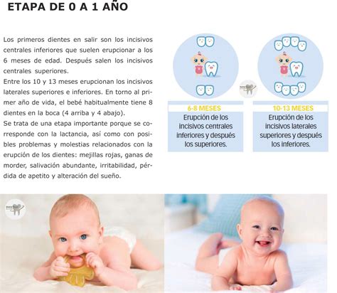Esquema que muestra el desarrollo dental desde la infancia hasta la dentición definitiva
