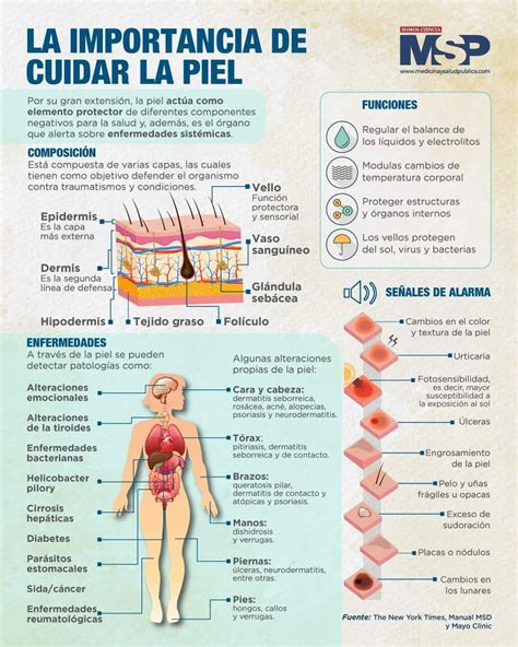 Infografía sobre el cuidado de la piel del recién nacido, incluyendo protección solar y baño