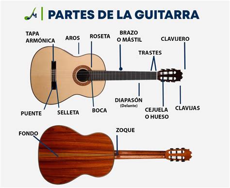 Ilustración de una guitarra flamenca con sus partes destacadas
