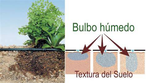 Infografía: forma del bulbo húmedo según el tipo de suelo