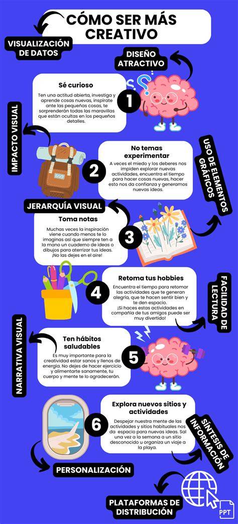 Infografía mostrando las características principales del broche (clip, diseño, ajuste de longitud)