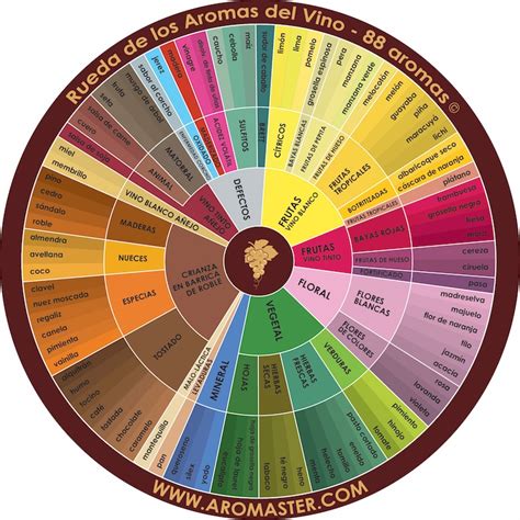 Infografía de la rueda de aromas y sabores del vino Tempranillo