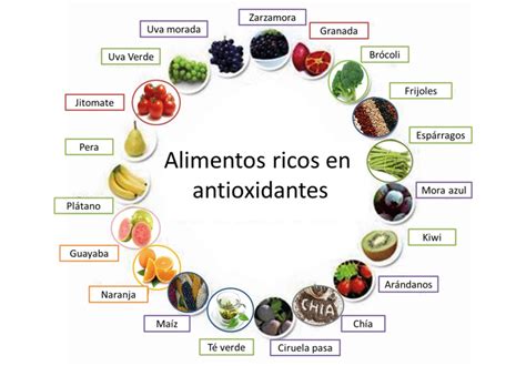 Tabla comparativa de alimentos ricos en antioxidantes