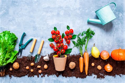 Ilustración de los materiales necesarios para crear un ramo de ropa de bebé: maceta, varillas, espuma floral, cartulinas verdes, gomas elásticas, alfileres, cinta adhesiva y cinta decorativa.