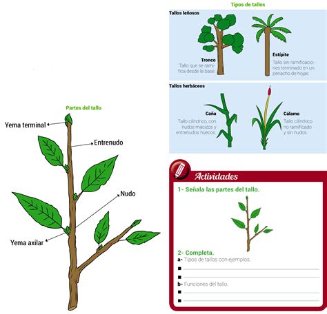 Proceso de creación de los tallos y hojas para el ramo de ropa de bebé, mostrando varillas con cartulina verde pegada.