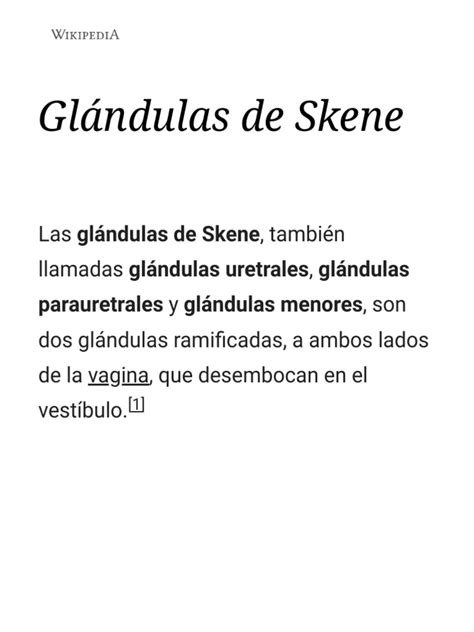Esquema de las glándulas de Bartolino y Skene en la anatomía femenina